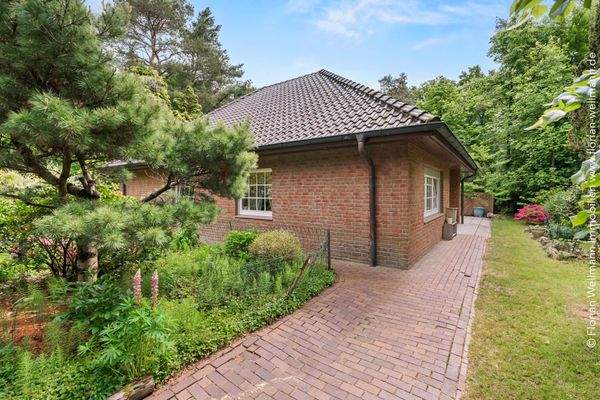 Gepflasterter Weg zwischen Sauna- und Wohnhaus.