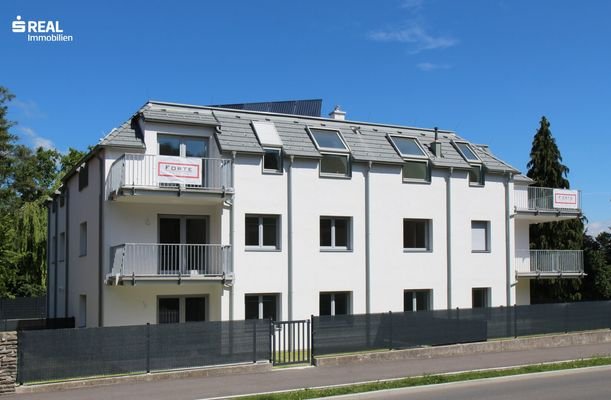 Bild 16