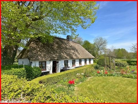 Tolk Häuser, Tolk Haus kaufen