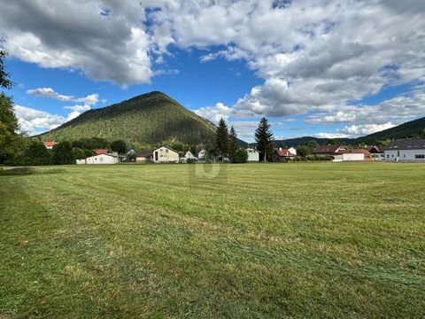 Puchberg am Schneeberg Bauernhöfe, Landwirtschaft, Puchberg am Schneeberg Forstwirtschaft