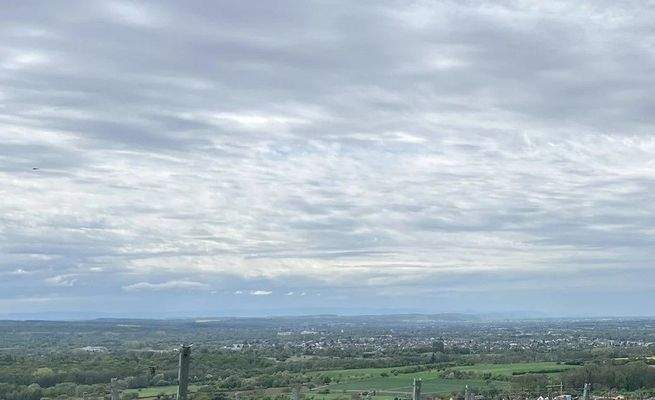 Blick in die Rheinebene.jpeg