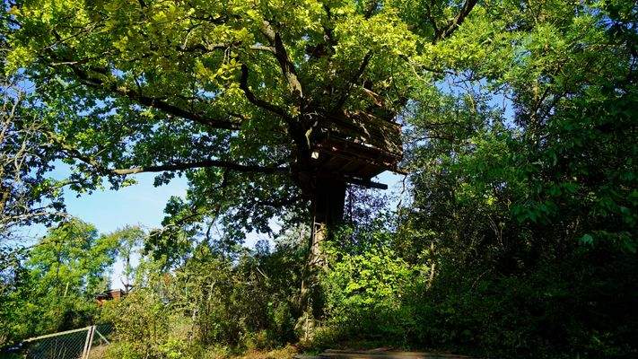 Das Grundstück ist ein wahres Paradies für Kinder - hier zum Beispiel das Baumhaus