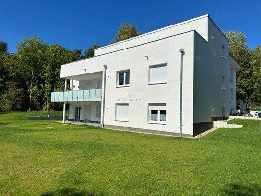 Blick aus dem Garten