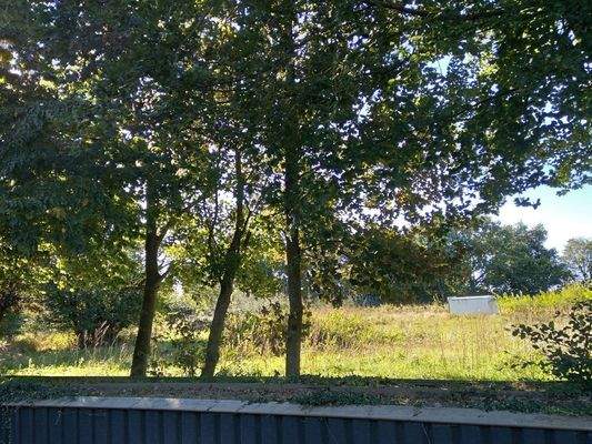 Blick über den Gartenzaun