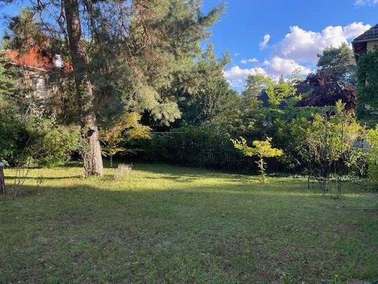 Blick in den hinteren Garten 