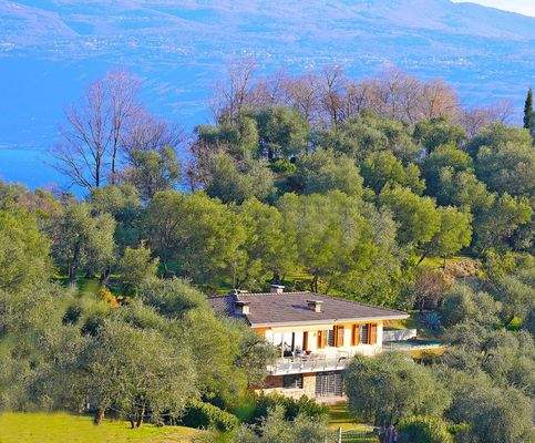 PHOTO-2023-10-23-09-17-49 5.jpg