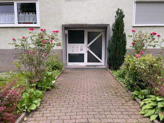 PHOTO-2025-05-27-18-25-46 2