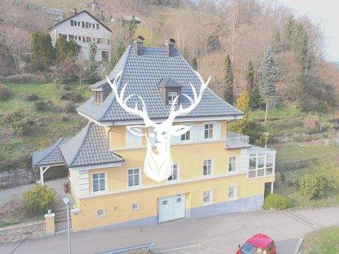 Zell im Wiesental Renditeobjekte, Mehrfamilienhäuser, Geschäftshäuser, Kapitalanlage