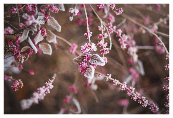 HERZLICH WILLKOMMEN sagt HENSEL IMMOBILIEN!