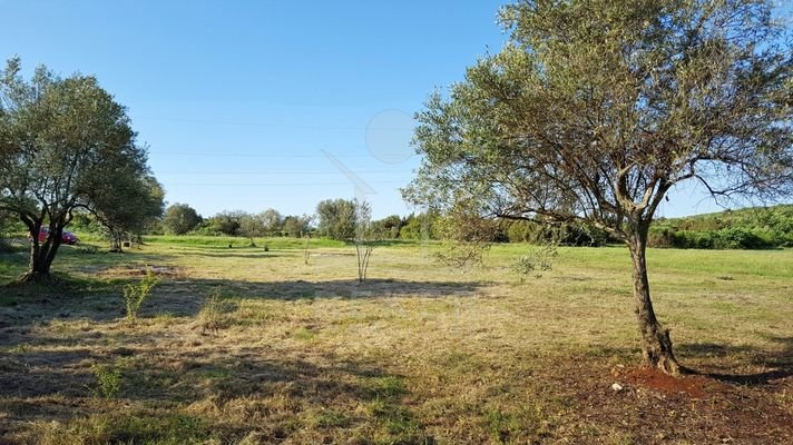 Großzügiges Landwirtschaftsgrundstück in Rovinj