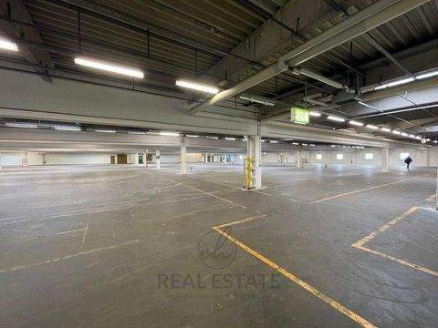 Hamburg Halle, Hamburg Hallenfläche