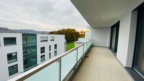 Bad Säckingen Wohnungen, Bad Säckingen Wohnung mieten