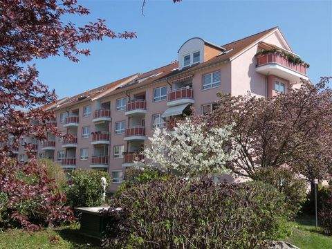 Bernau bei Berlin Wohnungen, Bernau bei Berlin Wohnung mieten