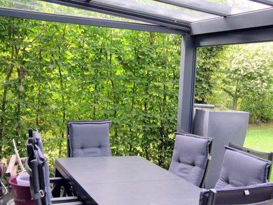 überdachte Terrasse mit elektr. Beschattung.JPG