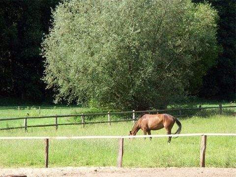 Todendorf Häuser, Todendorf Haus mieten 