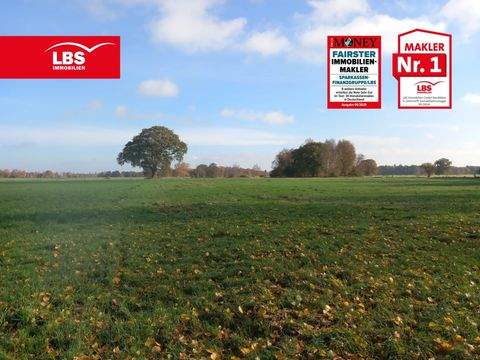 Gnarrenburg Bauernhöfe, Landwirtschaft, Gnarrenburg Forstwirtschaft