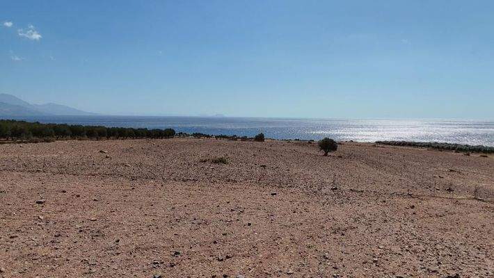 Kreta, Skaloti: Großes Baugrundstück mit Meer- und Bergblick an der Südküste