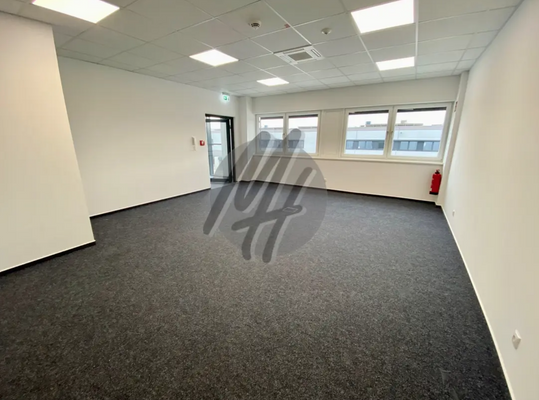 INFOS UNTER: 06171-586000