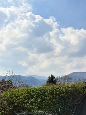 Brockblick