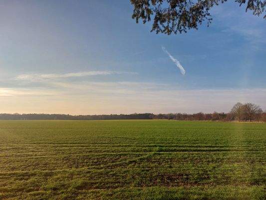 Blick über die Felder am Haus.jpg