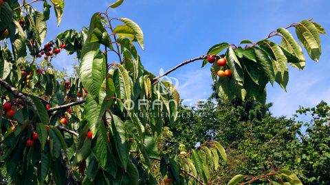 Goldberg Grundstücke, Goldberg Grundstück kaufen
