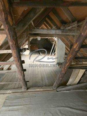 PHOTO-2021-08-19-17-21-40 5