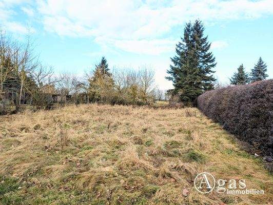 Blick auf das Grundstück