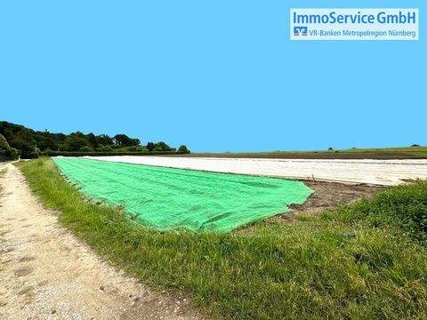 Nürnberg Bauernhöfe, Landwirtschaft, Nürnberg Forstwirtschaft