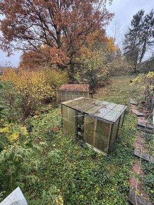 Garten mit Gewächshaus