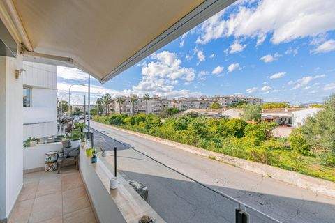 PALMA Wohnungen, PALMA Wohnung kaufen