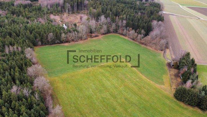 Wiesen Luftbildaufnahme