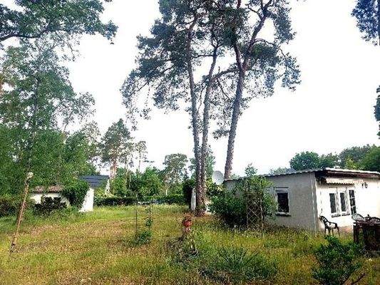 westl. Blick ins Grundstück