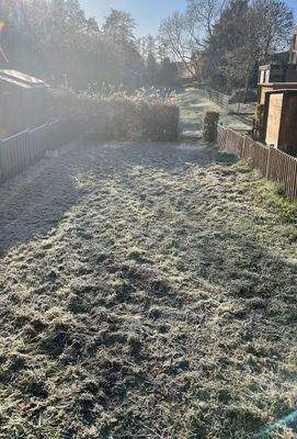 Garten bearbeitet.jpg