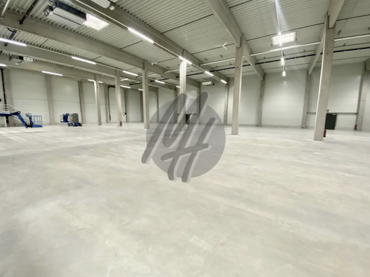 INFOS UNTER: 06171-586000