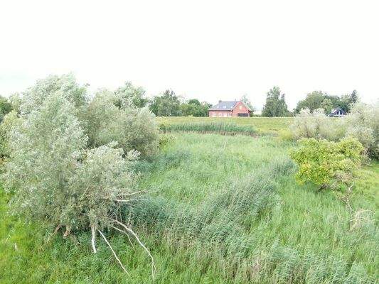 Deichgrundstück