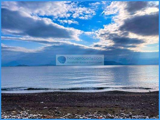 2ca3a5be1054467fb61cba7f8915bbb8-original