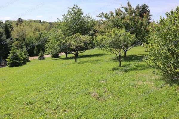 Grundstück mit Blick auf Bäume und Natur