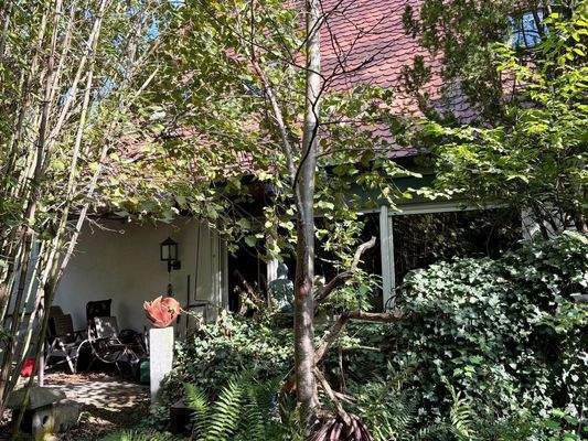 Blick vom Garten auf die Terrasse