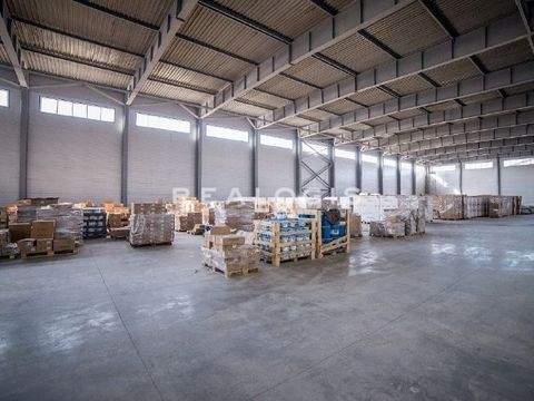 Wendlingen am Neckar Halle, Wendlingen am Neckar Hallenfläche