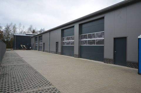 Oldenburg Halle, Oldenburg Hallenfläche