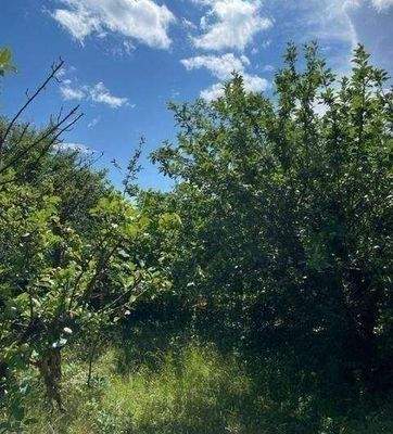 Blick zum hinteren Grundstück