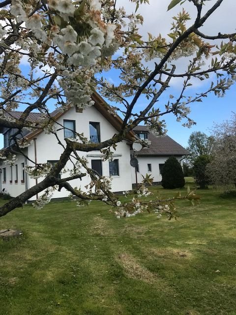 Rövershagen Gastronomie, Pacht, Gaststätten