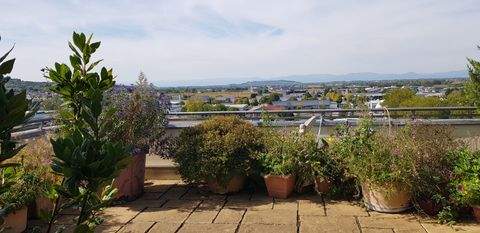 Endingen Wohnungen, Endingen Wohnung kaufen