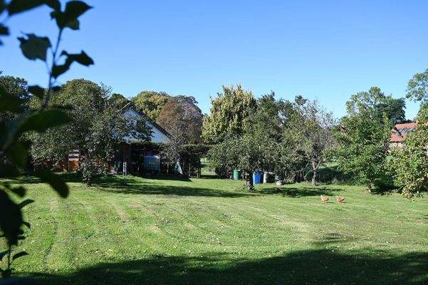 Hier haben wir unseren Freilauf