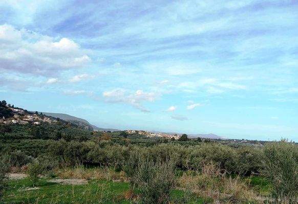 Kreta, Pemonia: Grundstück innerhalb der Siedlung zu verkaufen