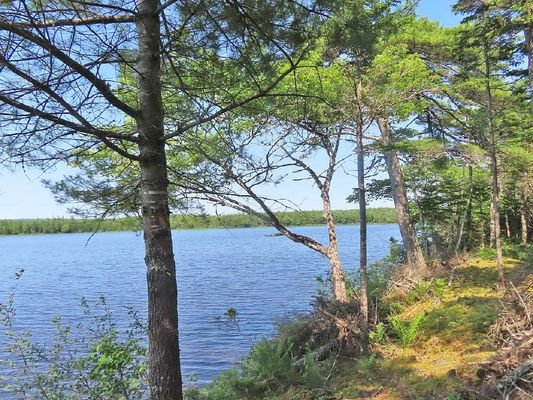 Cape Breton - Traumhaft schönes See-Ufergrundstück