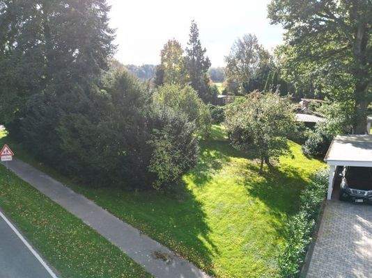 Garten mit altem Baumbestand (potenzieller Bauplatz)