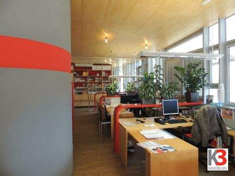 Salzburg Halle, Salzburg Hallenfläche