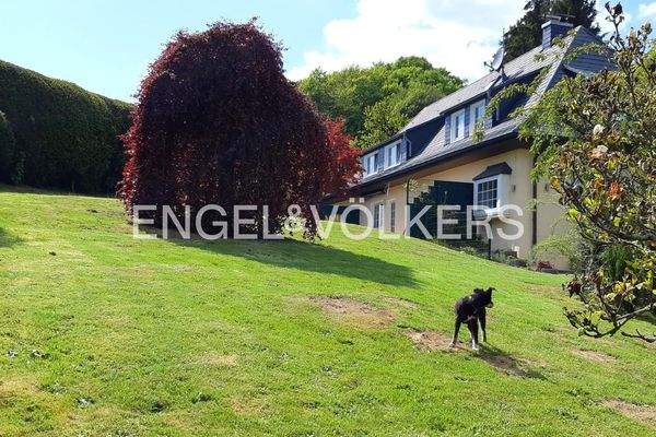 Garten mit Blick aufs Haus TE 1