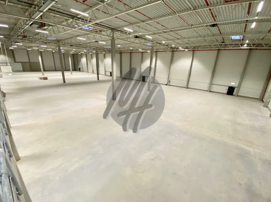 INFOS UNTER: 06171-586000